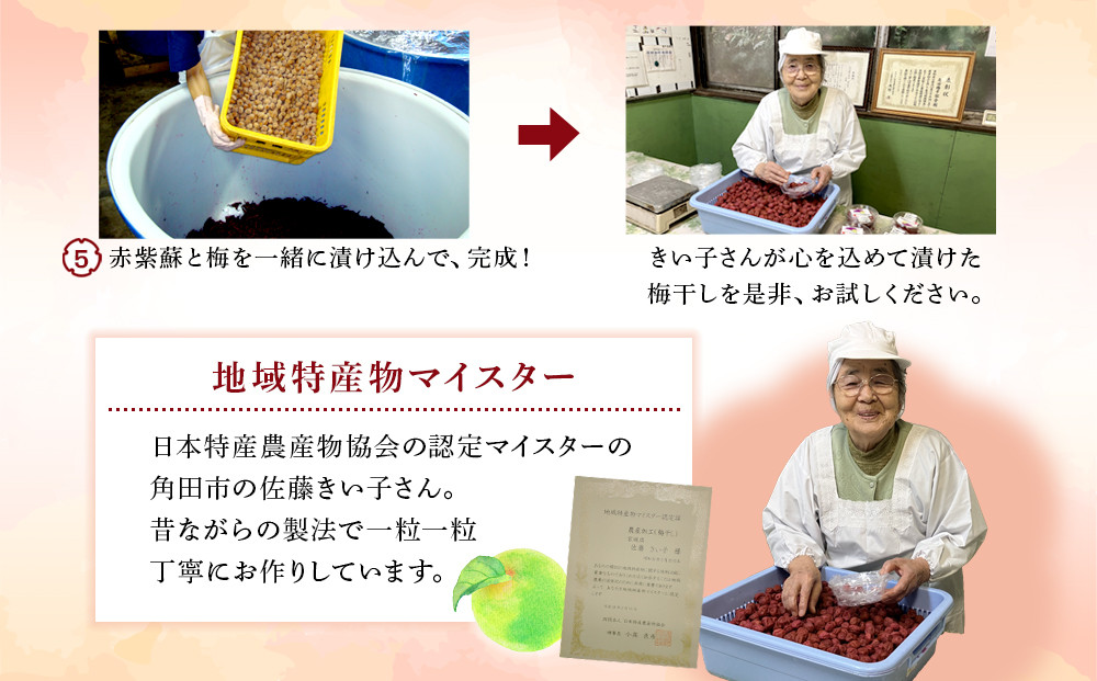 梅干しマイスター 佐藤きい子さんのご家庭用手作り梅干し 約1.2kg ( 1パック × 3 )