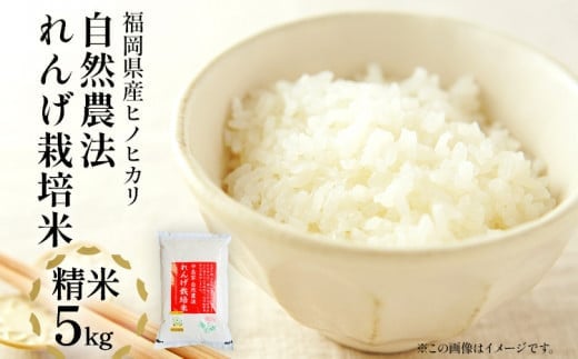 令和7年産 新米予約 れんげ米 れんげ農法栽培米「ヒノヒカリ」（精米・5kg） BI01