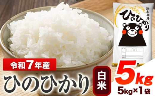 令和7年産 ひのひかり  白米 5kg 《7-14日以内に出荷予定(土日祝除く)予定》 熊本県産 白米 精米 ひの 送料無料 熊本県 山江村