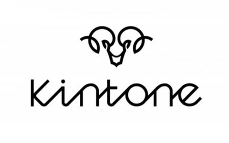電動キックボード 公道 走行可能 KINTONE Model One S 増量バッテリーモデル(ホワイト） 白 免許不要 おりたたみ 特定小型原付