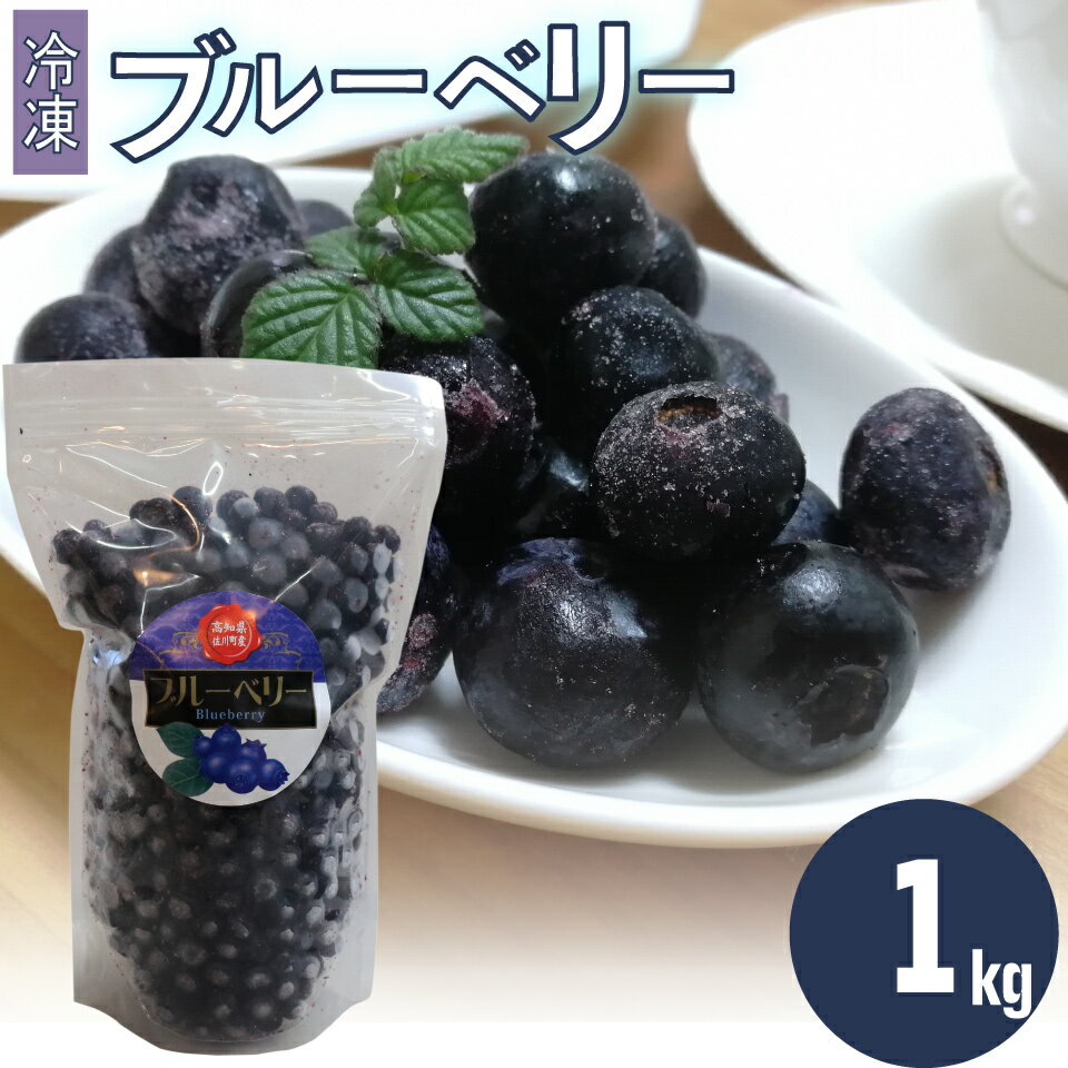 【ふるさと納税】＜ブルーベリー 冷凍　1kg＞ フルーツ くだもの 高知県 佐川町 果物 島崎商事【冷凍】冷凍ブルーベリー 常備果物　＜4～6ヶ月程度で発送予定（申込状況により遅れる場合があります）＞