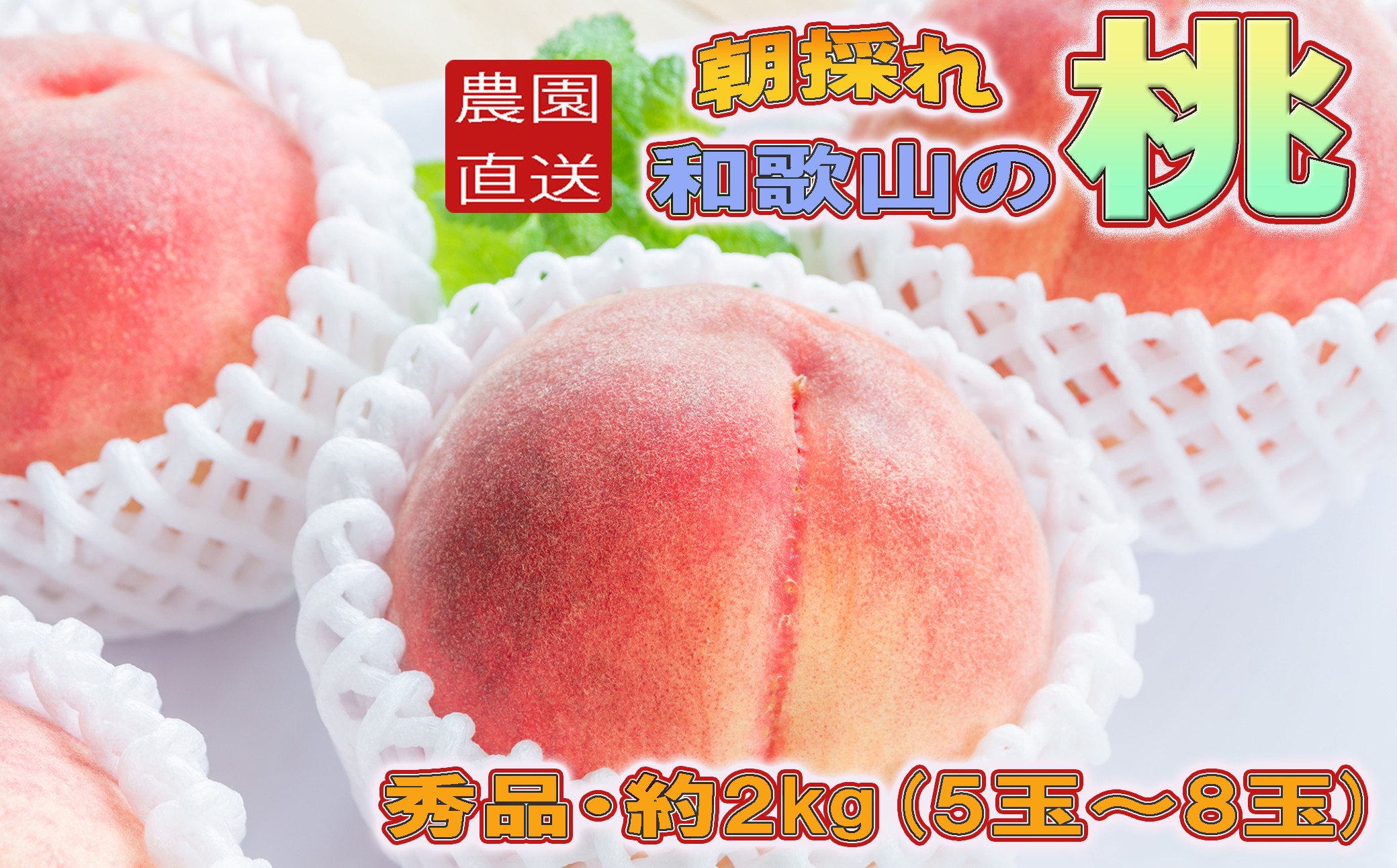 
                  ［農園直送］朝採れ和歌山の桃　約2kg・秀品★2026年6月下旬～8月中旬頃順次発送★［TM167］
                