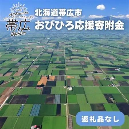 【返礼品なし】帯広市への応援寄附(1口100,000円)