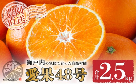 【先行予約】 愛果48号 家庭用 約2.5kg 【2026年3月上旬から発送】 | あいか 新品種 紅まどんな × 甘平 紅プリンセス と同品種 みかん ワケアリ 訳あり B品 柑橘 果物 おすすめ 高級 人気 お取り寄せ グルメ ギフト 期間 ご当地 愛媛県 松山市 蓮果園