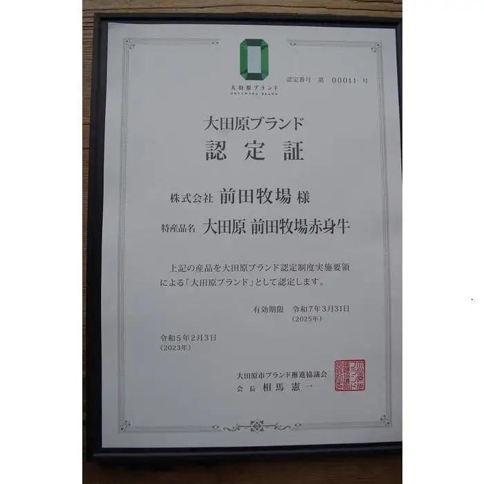 【大田原 前田牧場直送 赤身牛】ヒレブロック シャトーブリアン 約500g×2 (1kgのブロックを2分割します)  数量限定 ブランド牛 牛肉 フィレ ステーキ ヒレ 産地直送 産直