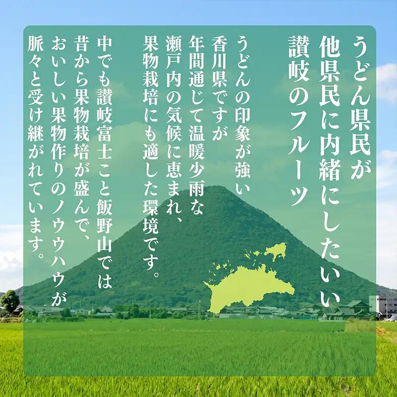 【2027年2月上旬以降発送予定】 いちご 紅ほっぺ 約2kg (250g✕8パック)  いちご