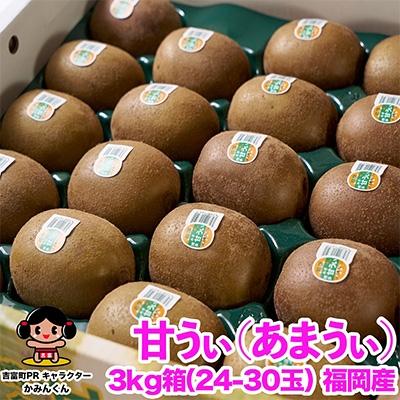 ふるさと納税 吉富町 福岡限定!ブランドキウイ「甘うぃ(あまうぃ)」約3kg箱(24-30玉)(吉富町)