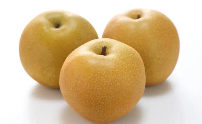 梨 2026年 先行予約 あたご梨 約3kg 3～5玉入り  なし ナシ  岡山県産 国産 フルーツ 果物 ギフト 和梨 デザート 食後 日本一の大きさ 大玉 シャリシャリ