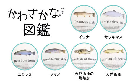 魚好きの人へ！かわさかなTEE Tシャツ ユニセックス メンズ レディース アウトドア 半袖 川魚 さかな 岐阜市 / スポット[ANGD001]