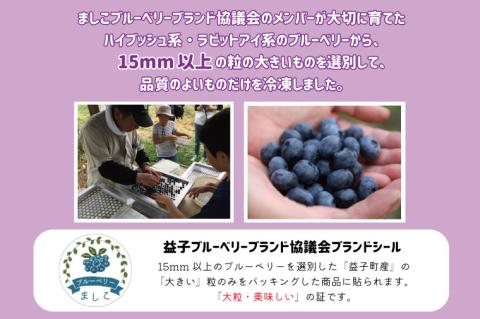 ＼先行予約・数量限定／益子町産 冷凍ブルーベリー 1㎏ フルーツ 果物 (AA020-1)