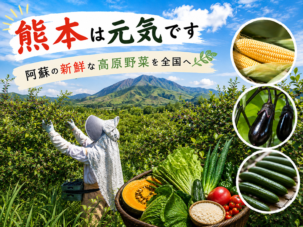 【選べるセット】【定期便全3回】【阿蘇 郷乃舎】野菜ソムリエ上級プロ厳選 農家直送こだわり野菜 6～8品 全3回 郷乃舎 新鮮 やさい 果物 山菜 フルーツ 産地直送 牧場直送 詰め合わせ お取り寄せ