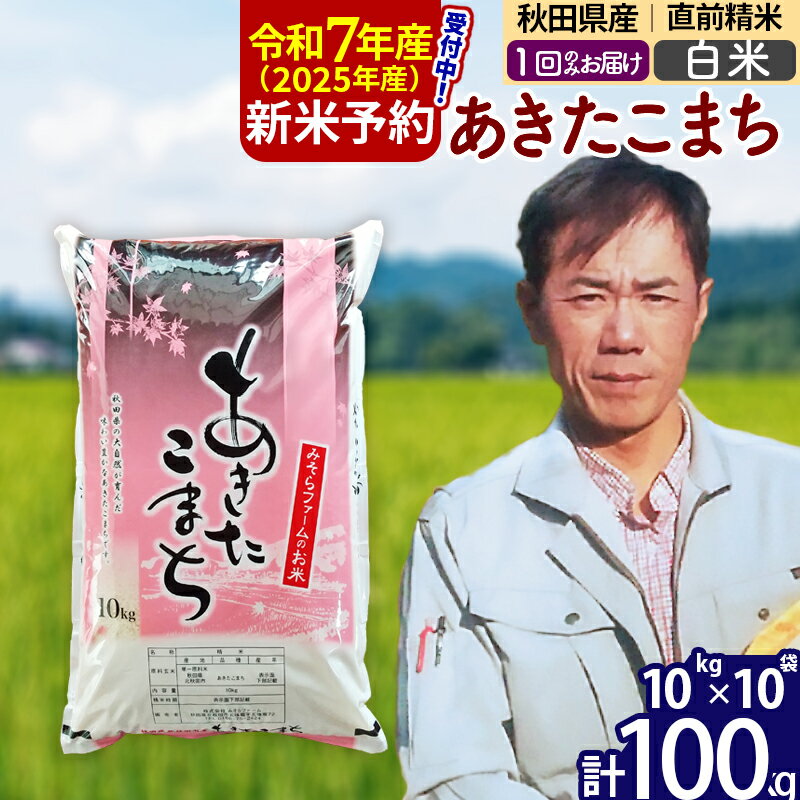 【ふるさと納税】※令和7年産 新米予約※秋田県産 あきたこまち 100kg【白米】(10kg袋)【1回のみお届け】2025年産 お米 みそらファーム