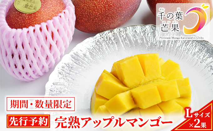 
                  【千の葉ライチ】完熟アップルマンゴーL×2果入 （先行予約）【マンゴー フルーツ 高級果実 国内】[№5346-0310]
                