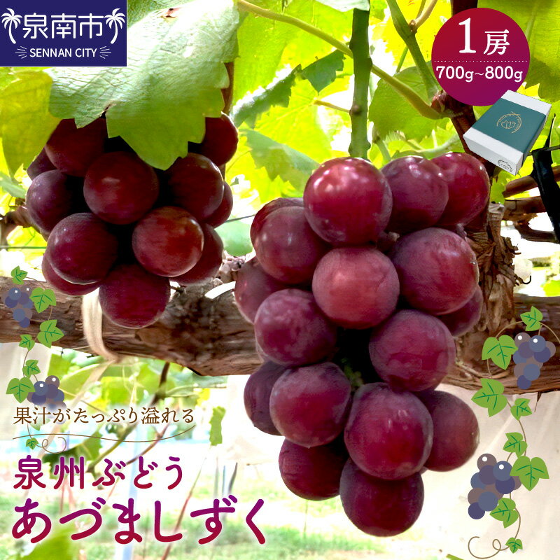 【ふるさと納税】泉州ぶどう あづましずく 1房 果実 果物くだもの ブドウ ぶどう 送料無料 泉南市