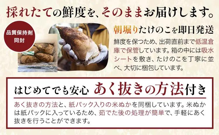 【先行受付】【2回定期便】特選 生たけのこ 食べ比べ 2kg×2回 《3月中旬-4月中旬頃出荷》 熊本県 南関町産 春 筍
