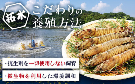 ＜小分け包装/野外BBQにも＞伊万里特産 車海老の塩焼き 計8尾 佐賀県/株式会社 拓水 伊万里クルマエビセンター[41AEAJ004]