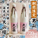 【ふるさと納税】『期間限定』男山 純米大吟醸 西蔵王の大山櫻 720ml×2本【令和7年3月中旬～発送】 fz22-519