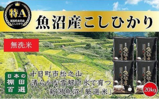 【令和7年産】【食味鑑定士厳選】日本棚田百選のお米 無洗米 天空の里 魚沼産 こしひかり 20kg(5kg×4)