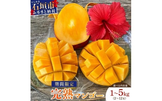 
                  ＜先行予約＞石垣島産マンゴー (アーウィン種) 約1～5kg | マンゴー アップルマンゴー 沖縄県
                