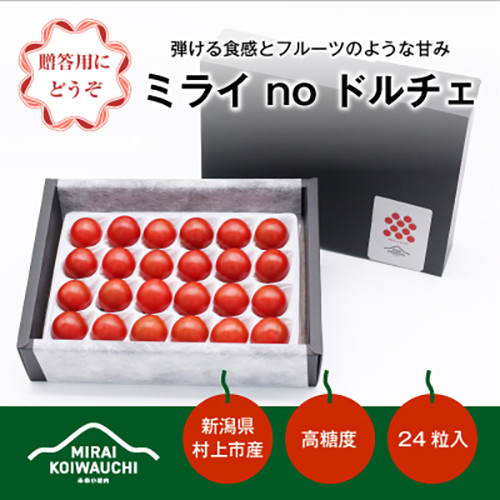 A4211 【数量・期間限定】【7月上旬から順次発送】『ミライ no ドルチェ』プレミアム 新潟県村上産ミニトマト（化粧箱入り）500g程度×1ケース