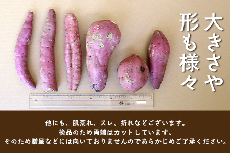 【訳あり！】【先行予約：9月中旬配送～】掘りたて さつまいも 紅はるか 10kg (自宅で簡単レシピ付き）FR-208 | 秋の味覚 2026年秋収穫 サイズランダム 家庭用 新物 さつまいも サツマ