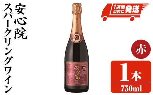 安心院スパークリングワイン赤(計750ml)酒 お酒 ワイン 赤ワイン スパークリングワイン ぶどう 葡萄 飲み比べ セット スピード発送 【107306800】【時枝酒店】