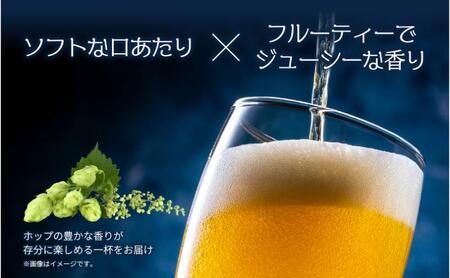 クラフトビール Hazy IPA 330ml 4本 ビール 地ビール 瓶ビール お酒 酒 beer アルコール ヘイジー アイピーエー 瓶 ホップ 麦芽 人気 晩酌 宅飲み 家飲み ご当地 ギフト お