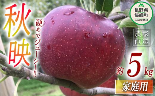 秋映 家庭用 5kg ヤマウラ農園 沖縄県への配送不可 2026年9月下旬頃から2026年10月上旬頃まで順次発送予定 令和8年度収穫分 信州 果物 フルーツ リンゴ 林檎 長野 予約 農家直送 長野県 飯綱町 [1811]