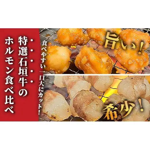マルチョウ300g×2パック 秘伝の味噌味とプレーンの食べ比べセット　IM-18