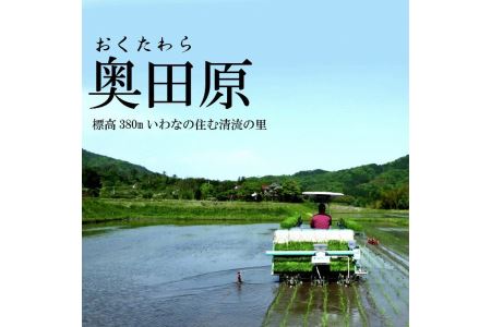 安来のお米【定期便】こりゃう米（まい）玄米 5kg×3回（毎月） ［令和5年産］