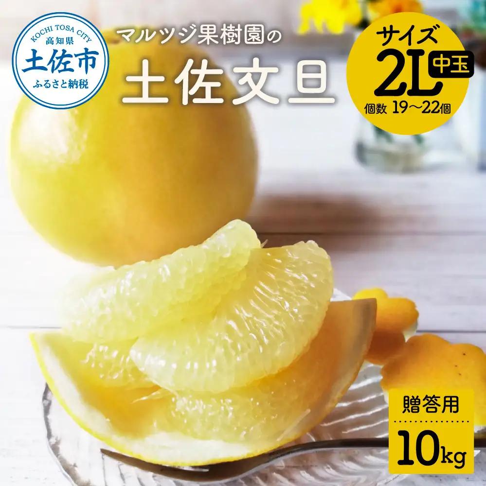 【先行予約】マルツジ果樹園の土佐文旦 贈答用 中玉（2Lサイズ）約10kg（19〜22個入り） 高知県土佐市 【マルツジ果樹園】 [BQAN014]