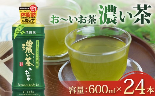 おーいお茶 濃い茶 600mL × 24本 防災備蓄 茶 ペットボトル 飲料 緑茶 機能性表示食品 お茶 茶 おちゃ ペットボトル飲料 ドリンク 飲み物 飲みもの 日用品 生活必需品 消耗品 飲料類