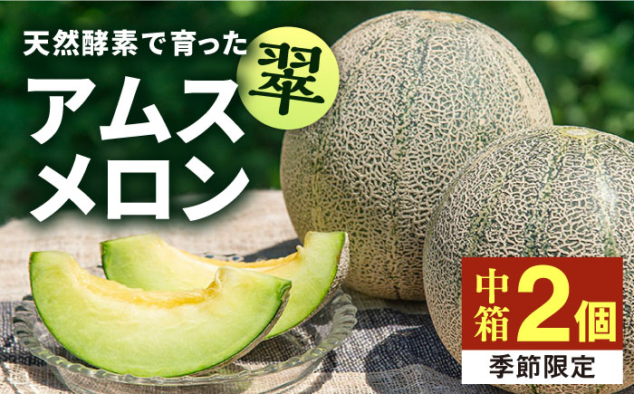 【先行予約】アムスメロン「翠」 2玉（中箱）【2026年6月中旬以降順次発送】《壱岐市》【フレッシュメイト壱岐】[JAZ004] メロン めろん アムスメロン 果物 くだもの 果実 フルーツ デザート ギフト 贈答 プレゼント 13000 13000円