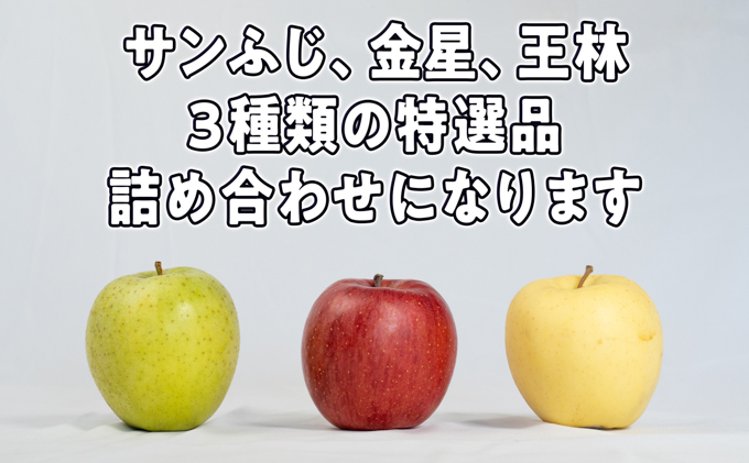 1～3月発送 最高等級「特選大玉」3種詰め合わせ 約5kg（サンふじ・金星・王林）糖度14度以上【弘前市産・青森りんご】