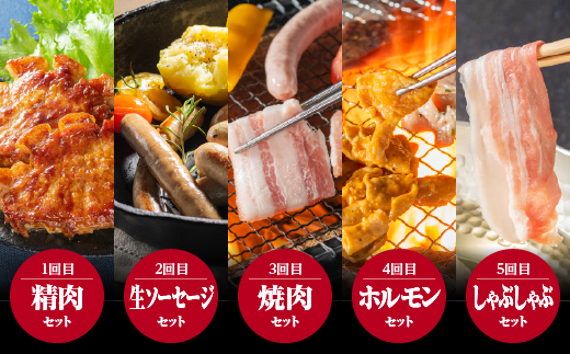 定期便【5ヶ月】まる姫ポーク おすすめセット(精肉セット 生ソーセージセット 焼肉セット ホルモンセット しゃぶしゃぶセット)