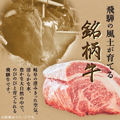飛騨牛　ロースまたは肩ロース　すき焼きしゃぶしゃぶ用 360g【配送不可地域：離島】