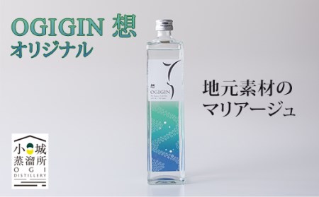 天山名水でつくる小城のクラフトジン OGIGIN想飲み比べ300ml x 2本セット B140-046