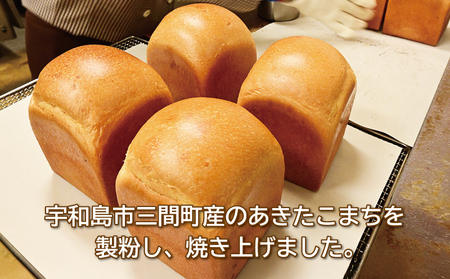 パン 定期便 全12回 詰め合わせ 定番 おいしい 米粉パン セット 手作りパン工房 みなみ えひめ南農業協同組合 米粉 食パン 1斤 ロールパン 6個 クロワッサン 3個 コッペパン 2個 ぱん パ