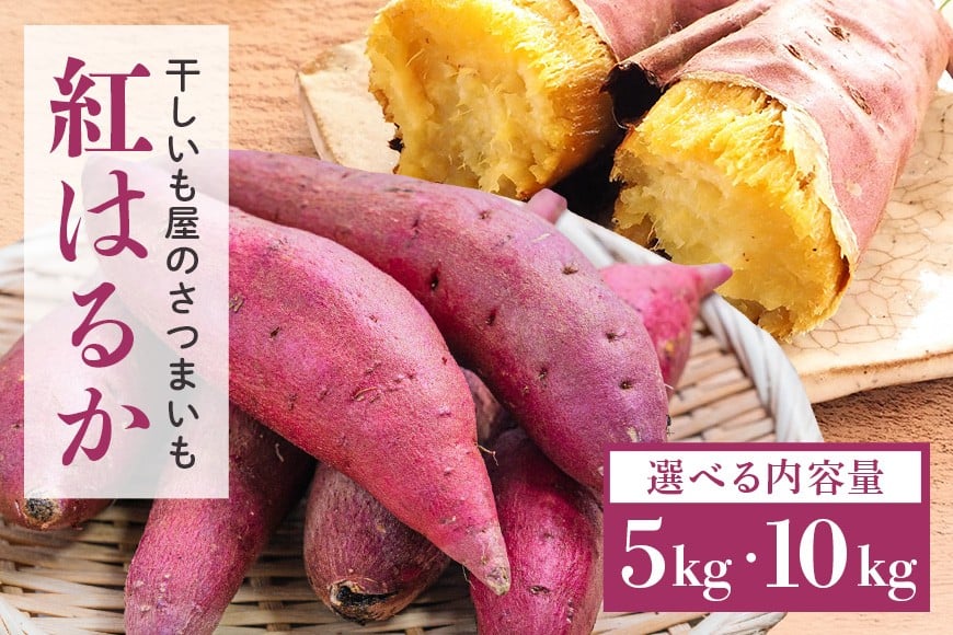 
            干し芋屋のさつまいも（紅はるか） 選べる 5kg 10kg サツマイモ さつま芋 生芋 べにはるか ベニハルカ 国産 茨城県産 箱 直送 やきいも 焼いも 焼き芋 焼芋 おやつ スイーツ作り ケーキ作り スイートポテト 大学芋 大学いも 5キロ 10キロ 12-SKU-C
          