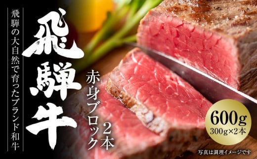 飛騨牛 赤身ブロック[塊] 600g（300g×2） 冷凍真空パック | 肉 お肉 ローストビーフ 煮込み 焼肉 焼き肉 やきにく BBQ 黒毛和牛 和牛 人気 おすすめ 牛肉 ギフト お取り寄せ 7日以内お届け【飛騨高山ミート MZ021】