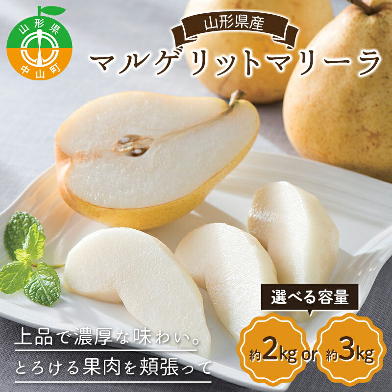 【ふるさと納税】《先行予約》 ＼選べる容量／ 山形県産 マルゲリットマリーラ 約2kg(4～6個) or 約3kg(6～9個) 洋梨 西洋梨 洋ナシ 洋なし 秋果実 果物 くだもの フルーツ F4A-1024var