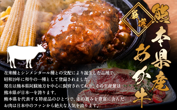 ステーキマニア監修 熊本県産あか牛100%生ハンバーグ 140g×39個入り《2026年1月中旬-3月末頃出荷》熊本県産あか牛 バイキングベーカリー 冷凍---300-5029---
