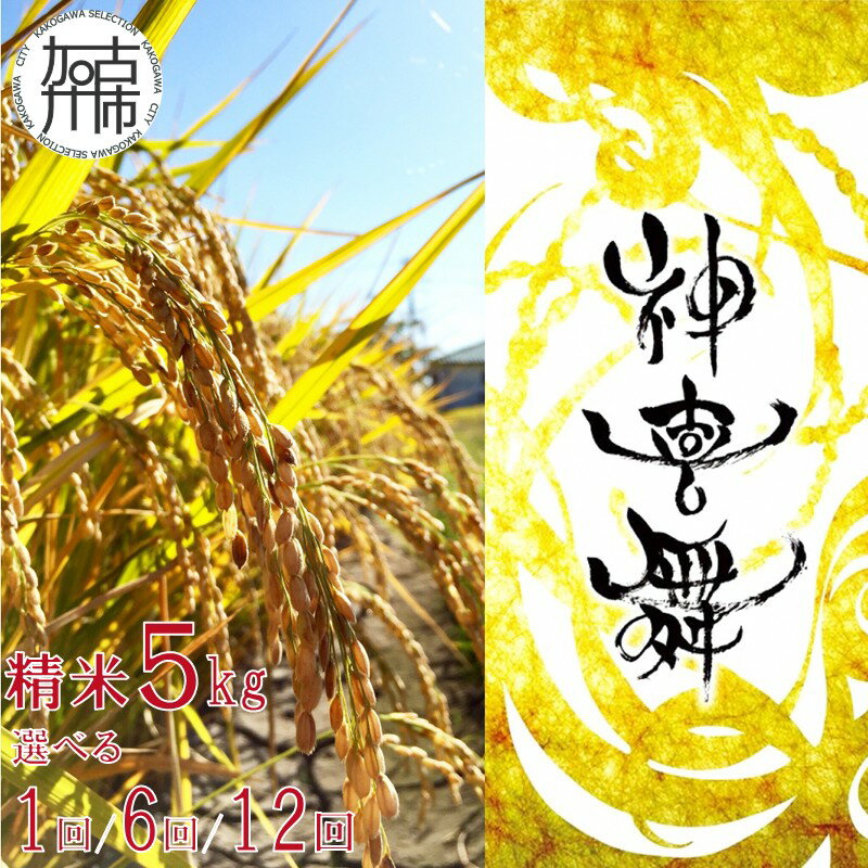 【ふるさと納税】【レビューキャンペーン】＼選べるお届け回数／お米【神喜舞】精米 [令和7年産] 5kg×1 / 5kg×6ヶ月定期便 / 5kg×12ヶ月定期便《 神喜米 兵庫県 お米 精米 5キロ 30キロ 60キロ 米 国産 数量限定 11月中旬より順次発送予定 送料無料 ヒノヒカリ 》