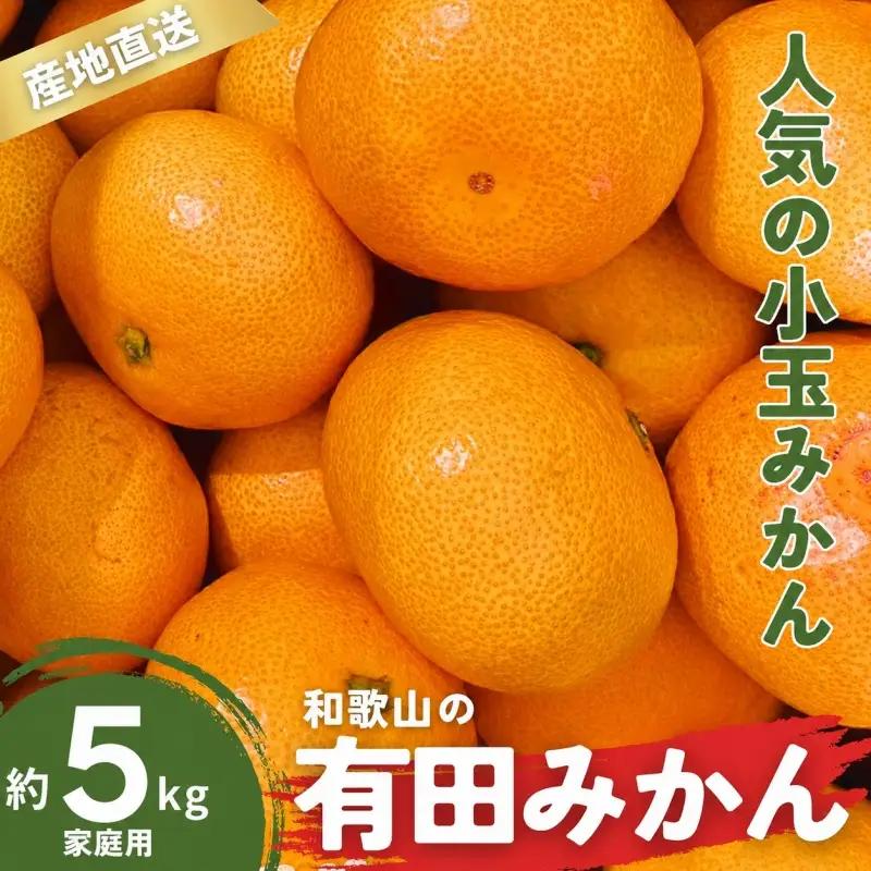 家庭用 訳あり 有田みかん 和歌山 小玉(2S,3Sサイズ混合) 5kg【9月下旬～1月下旬頃に順次発送】/ みかん フルーツ 果物 くだもの 有田みかん 蜜柑 柑橘【ktn010B】