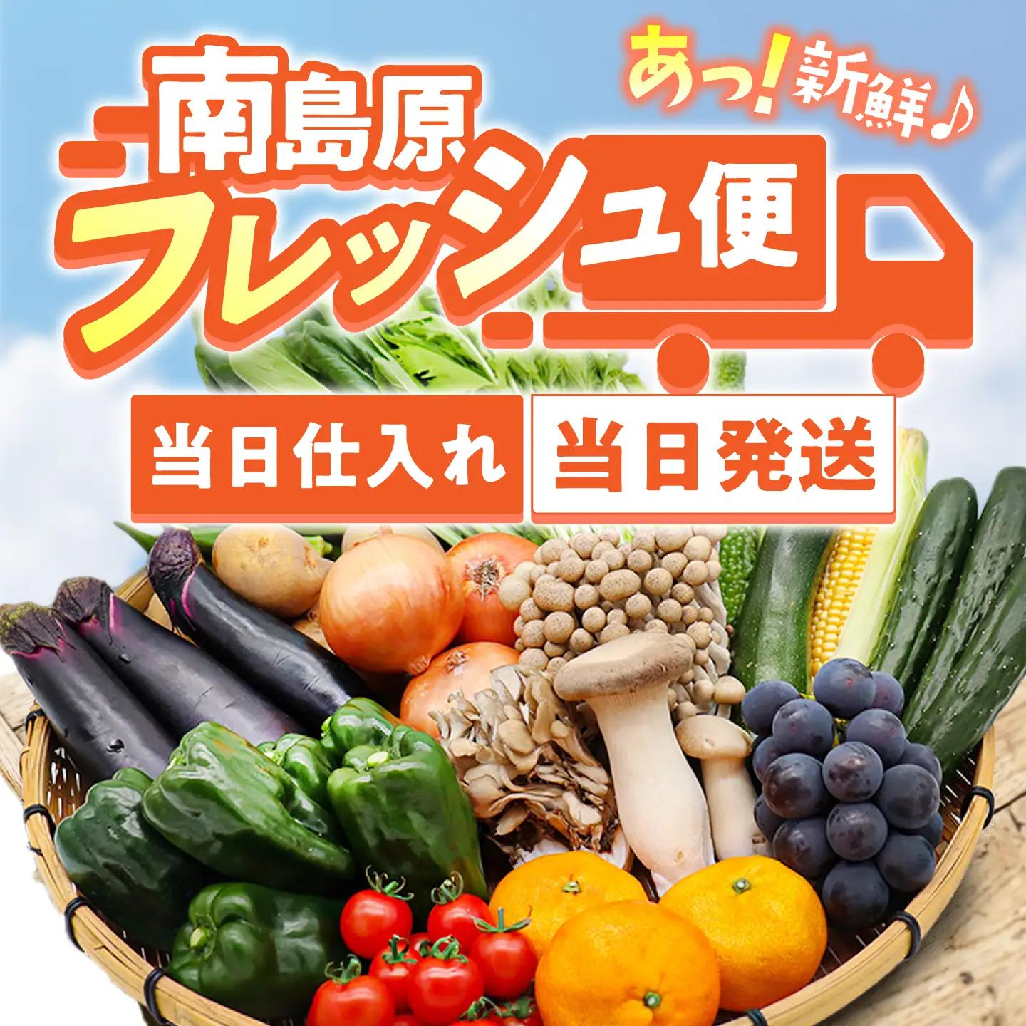 【12回】野菜定期便 15品目 野菜セット [SCZ019]