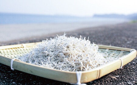 しらすとちりめんのセット 世界遺産セットA（釜揚げしらす400g 上乾ちりめん300g ちりめん佃煮400g）【ojs008A】 