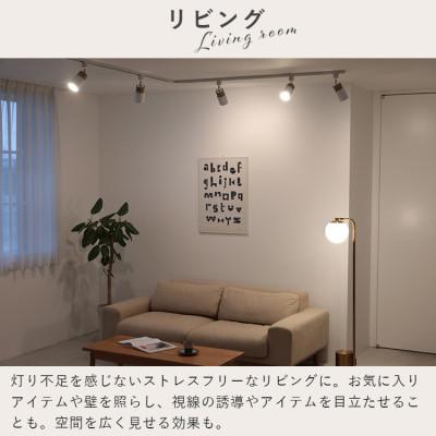 ふるさと納税 伊予市 スポットライト 1灯 エトーレ ダクトレール用(ブラック) |  | 01
