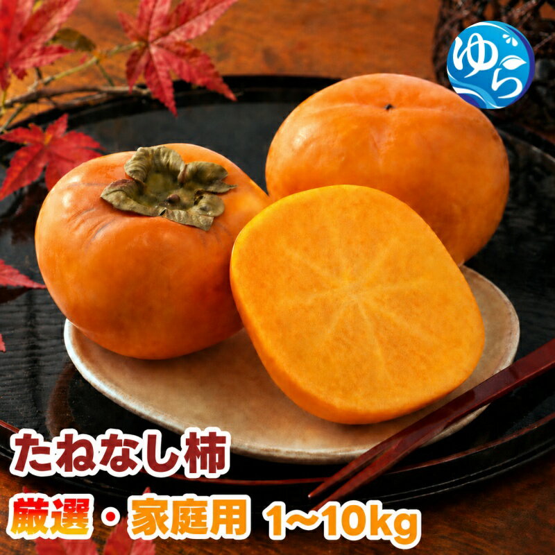 【ふるさと納税】 たねなし柿 1kg ～ 10kg 厳選 家庭用 / 柿 刀根早生 平核無柿 富有柿 ※2026年9月下旬から11月上旬に順次発送 ※北海道・沖縄・離島への配送不可 //hokaf