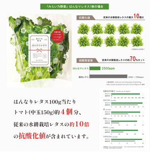 【 定期便４回 】 みらい乃野菜 はんなりレタス 12袋 720g 4回 レタス 袋入 【送料無料】 水耕栽培 野菜 れたす 葉物 サラダ 高抗酸化値 低硝酸態窒素 小分け 小袋 そのまま 食べれる 