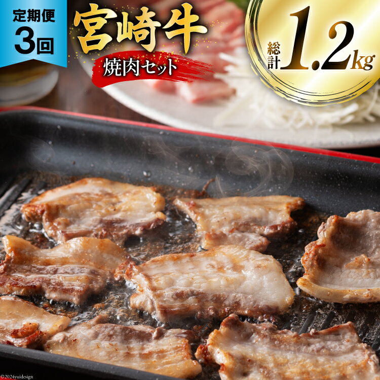 【ふるさと納税】牛肉 定期便 宮崎牛焼肉セット 3ヶ月定期便 [ミヤチク 宮崎県 美郷町 31au0087] 焼肉 冷凍 小分け 個包装 宮崎牛 牛 牛肩ロース 牛ウデ 牛モモ